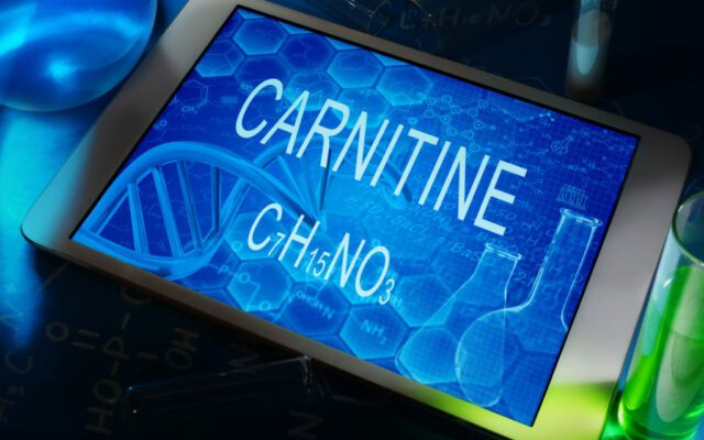 Image of molecular structure of Carnitine, used in our best drinks for energy Fat to Energy LemonAid®
